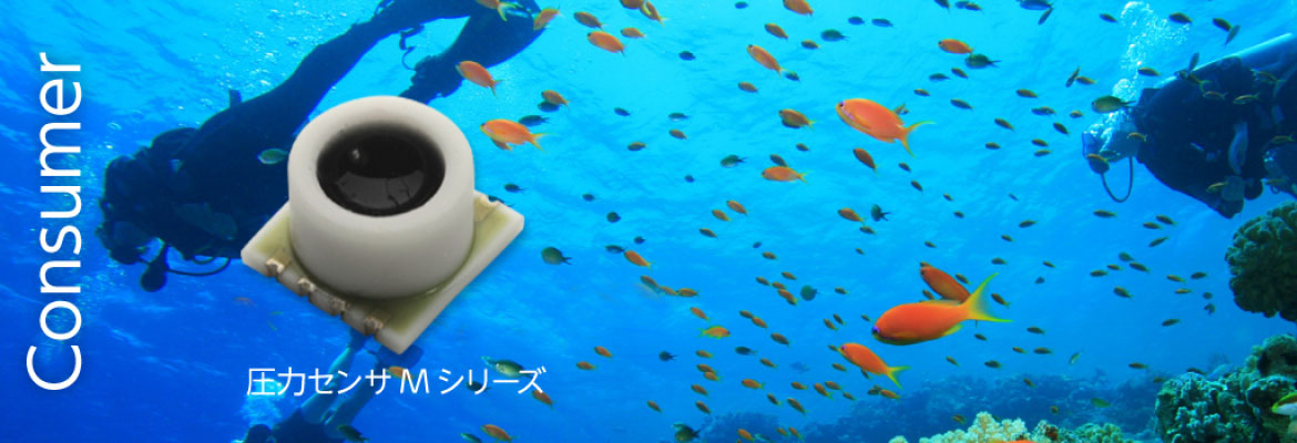 Merit Sensor 社コンシューマー向け製品バナーイメージ
