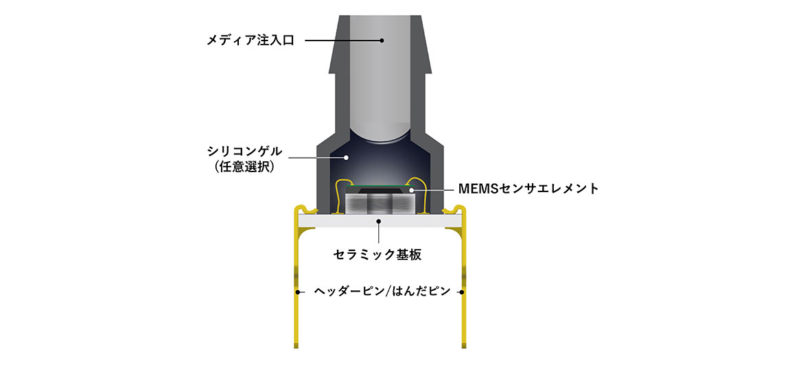 構造内部の断面図