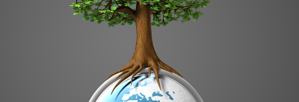 Eco Activities Image