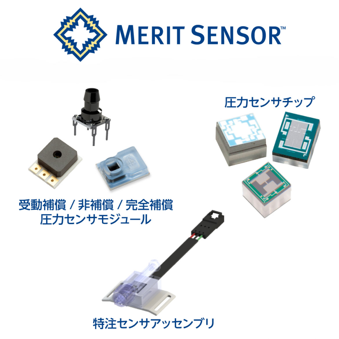 Merit Sensor 社のブースイメージ Merit Sensor 社のブースイメージ