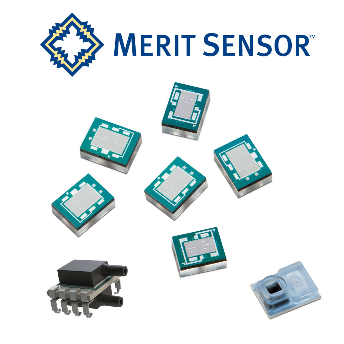 Merit Sensor ロゴと製品のイメージ Merit Sensor ロゴと製品のイメージ